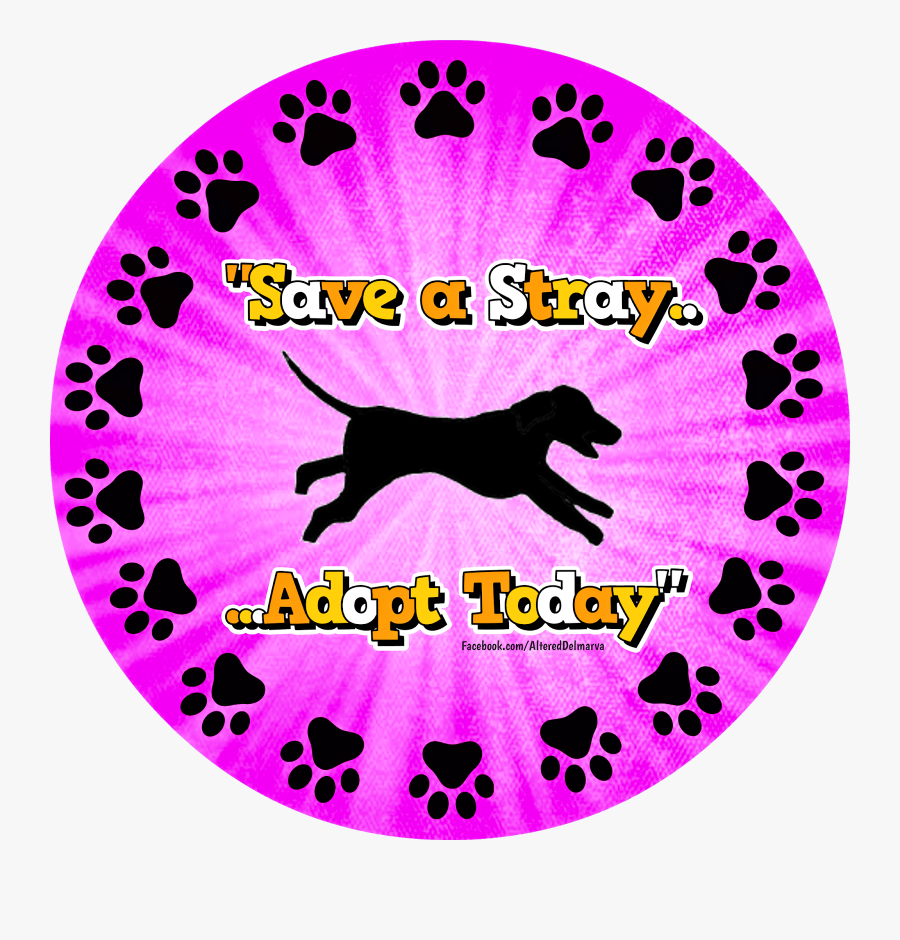Circle, Transparent Clipart
