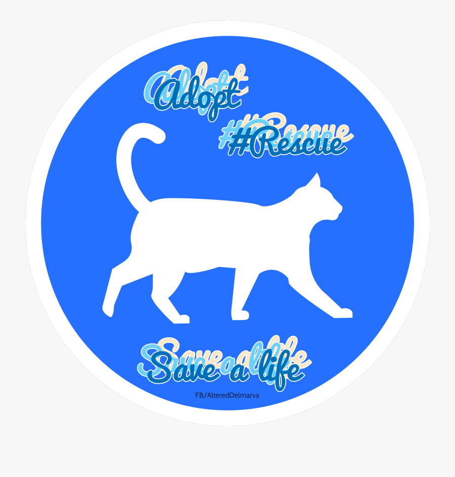 Screenshot, Transparent Clipart