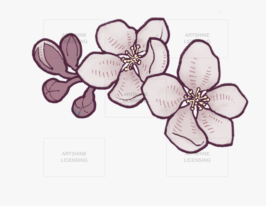 Apple Blossom Branch, Transparent Clipart