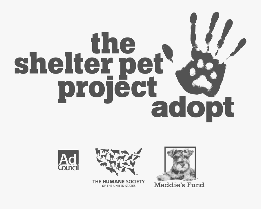 Clip Art The Shelter Pet Project - Shelter Pet Project Adopt Logo, Transparent Clipart