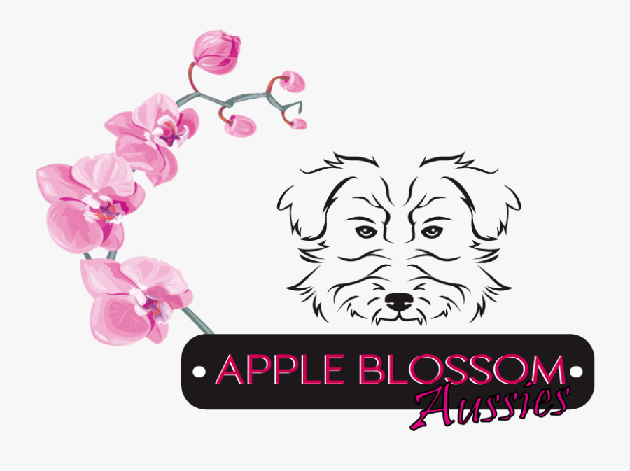 Apple Blossom Aussies - Companion Dog, Transparent Clipart