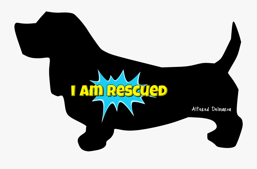 Dog, Transparent Clipart