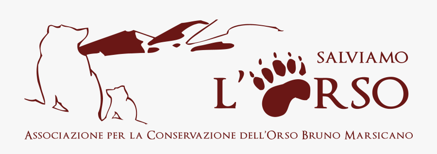 Orso, Transparent Clipart