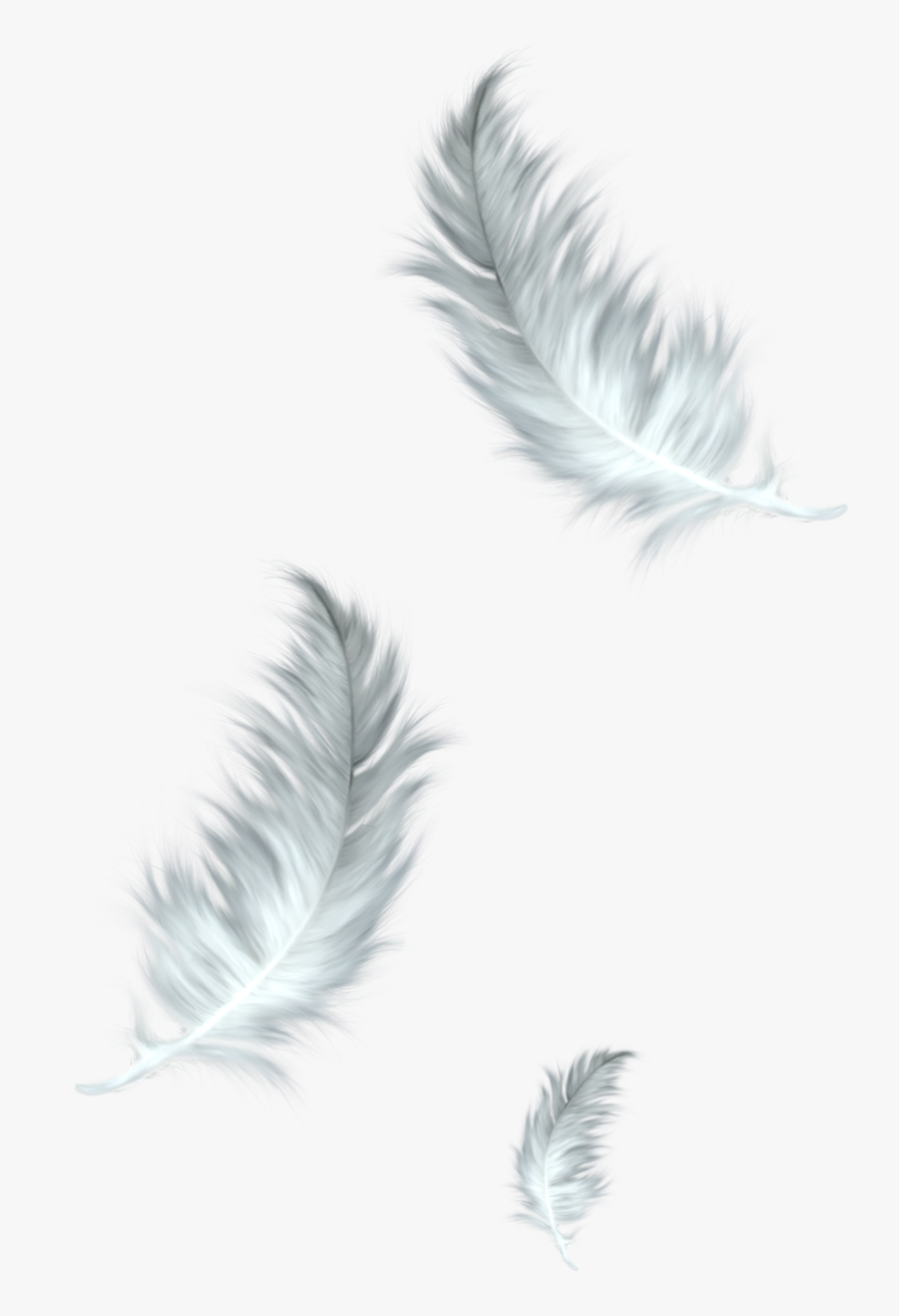 The Floating Feather Bird Clip Art - Transparent Background Feather Png, Transparent Clipart