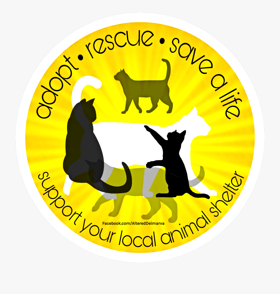 Circle, Transparent Clipart