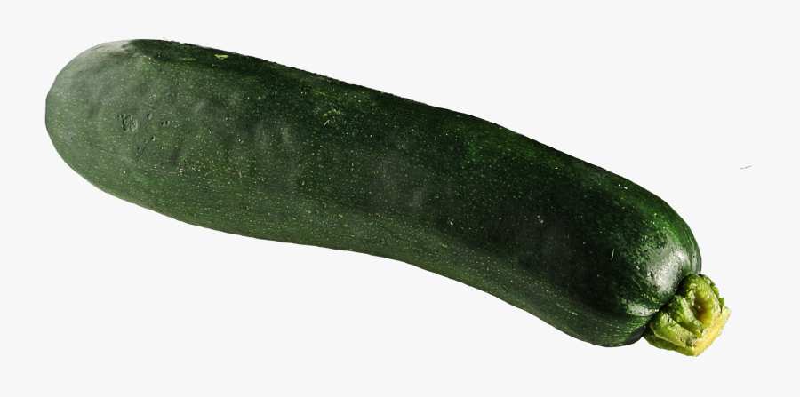 Download Zucchini Png Photo - Zucchini Png, Transparent Clipart