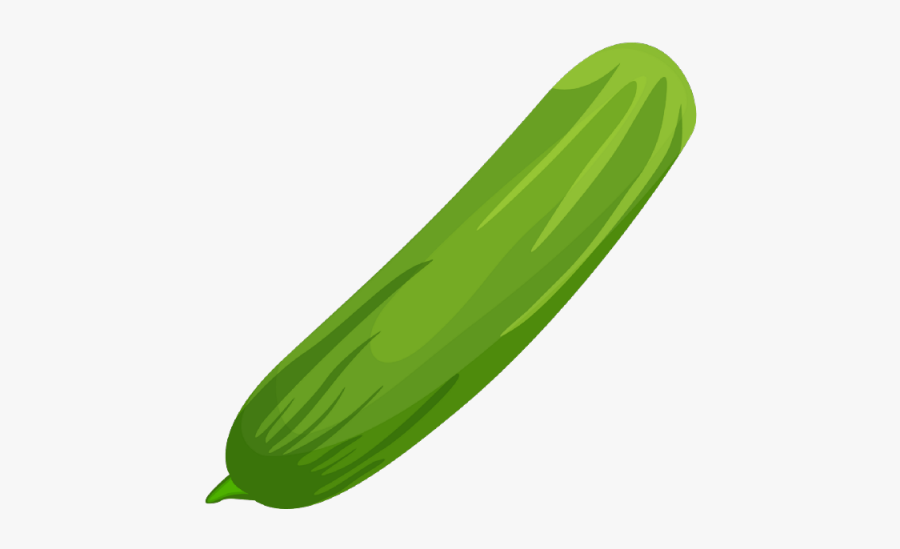 Endive, Transparent Clipart