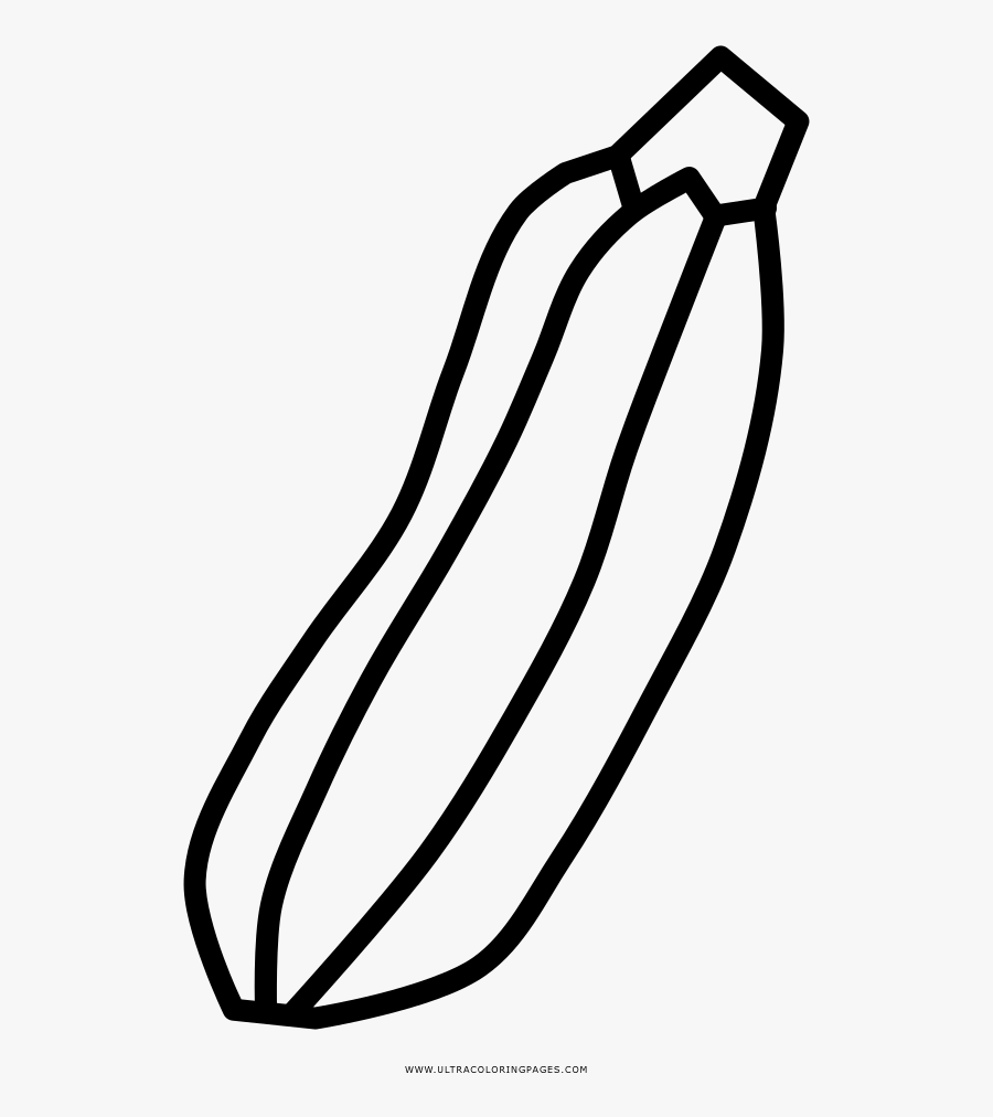 Zucchini Coloring Page - Drawing, Transparent Clipart