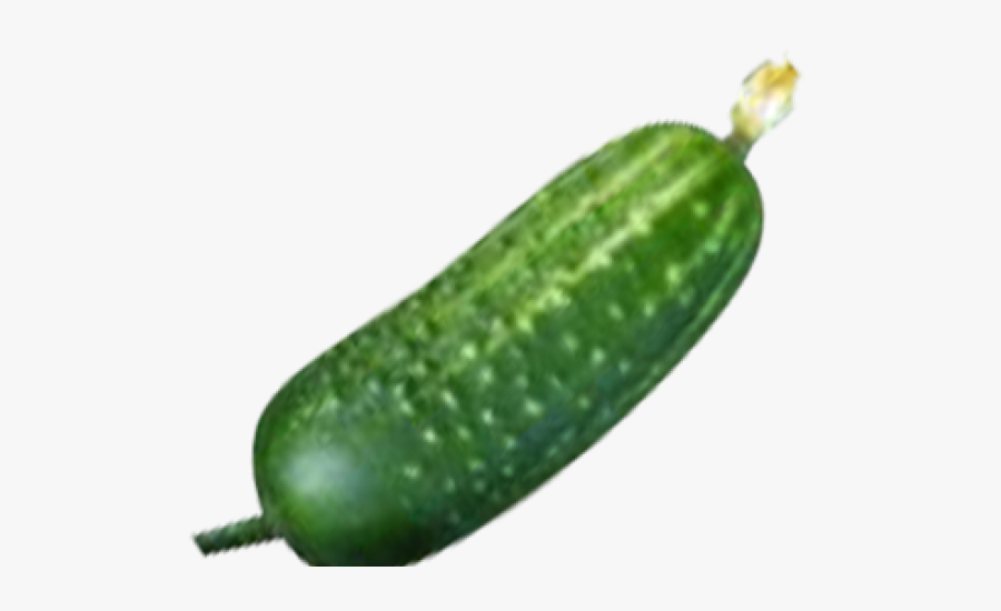 Cucumber With Transparent Background, Transparent Clipart