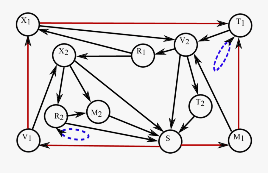 Markov-style Transition Diagram For Reber And Allen, Transparent Clipart