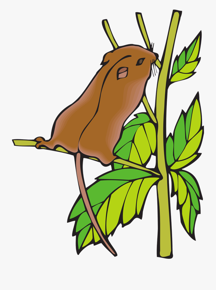 Branch Chipmunk Leaves Free Picture - Clip Art, Transparent Clipart