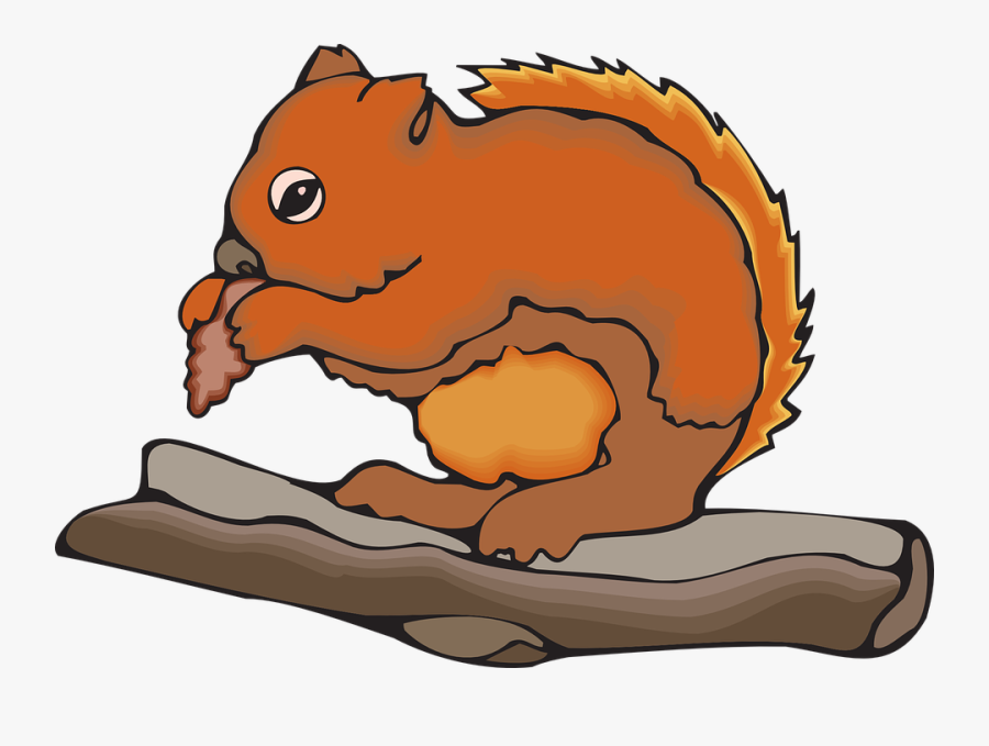 Food, Branch, Chipmunk, Eating, Animal, Fur - Chipmunk Eating Clipart, Transparent Clipart