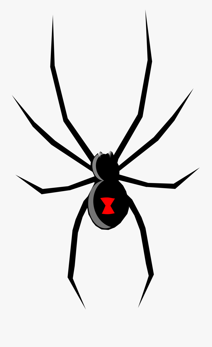 File Black Widow Wikimedia - Black Widow Spider Cartoon, Transparent Clipart