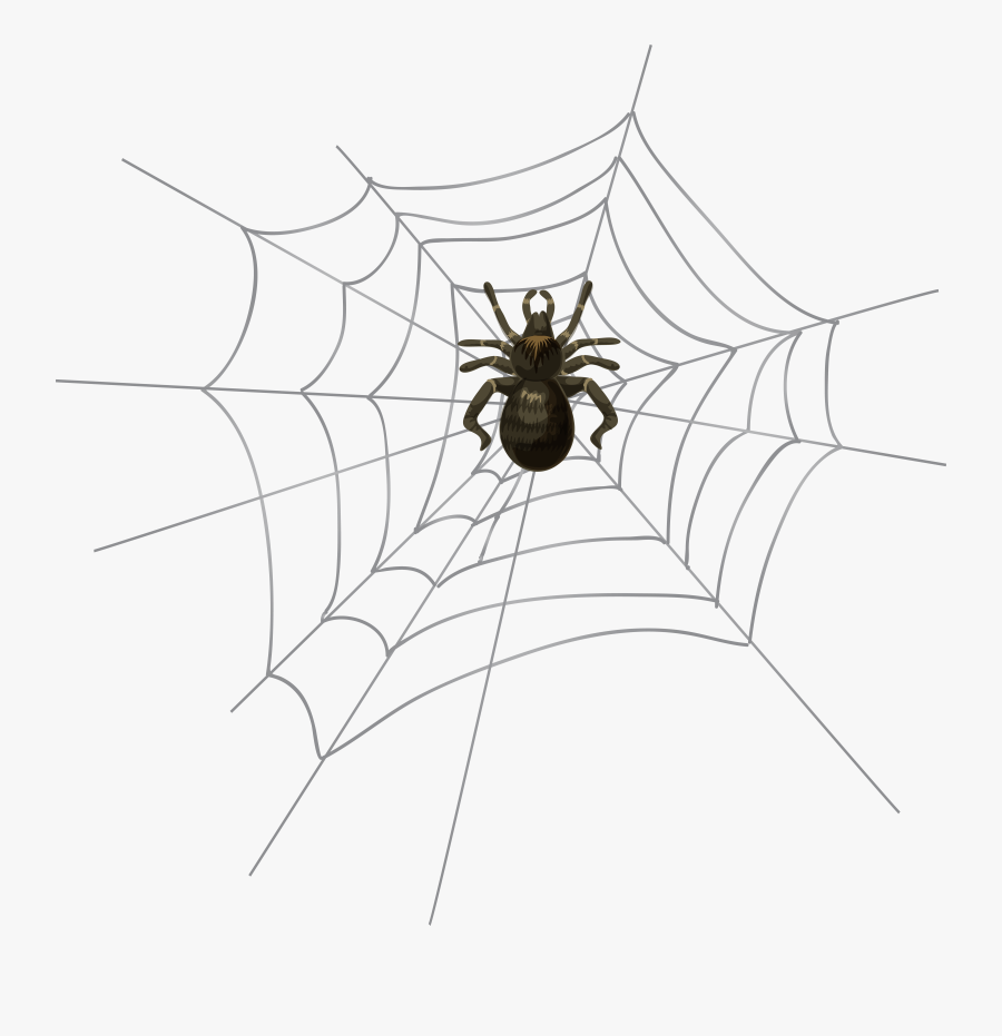 Halloween Clipart Spider Web, Transparent Clipart