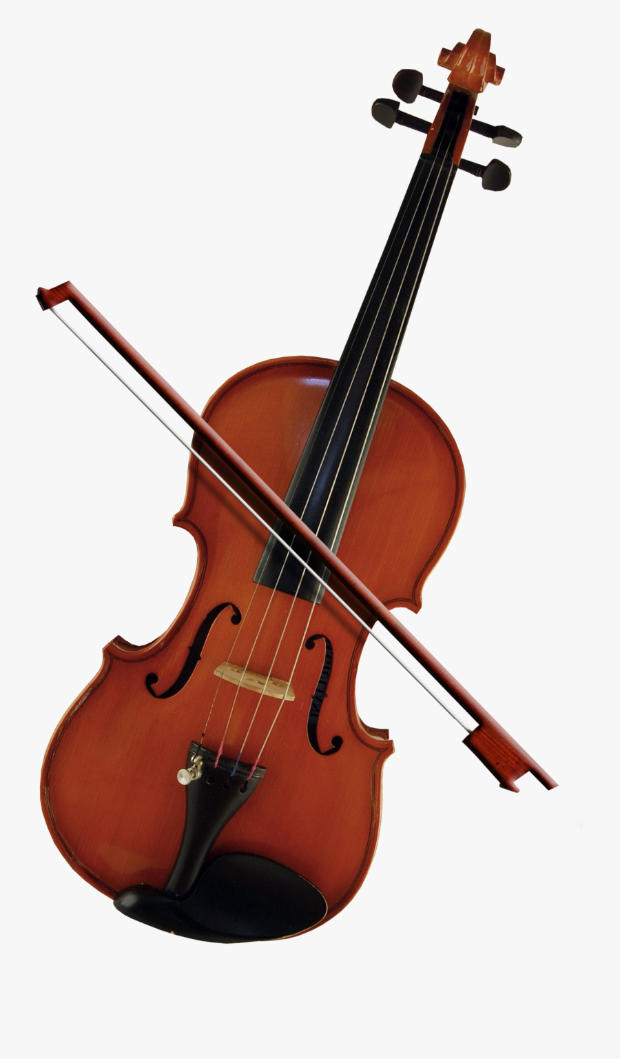 Bass Violin Cello Violone Viola - Violin Png, Transparent Clipart