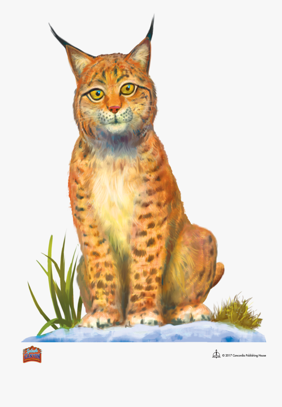 Tea Clipart Splash - Splash Canyon Vbs Eddy, Transparent Clipart