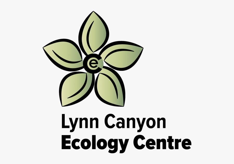 Floral Design, Transparent Clipart