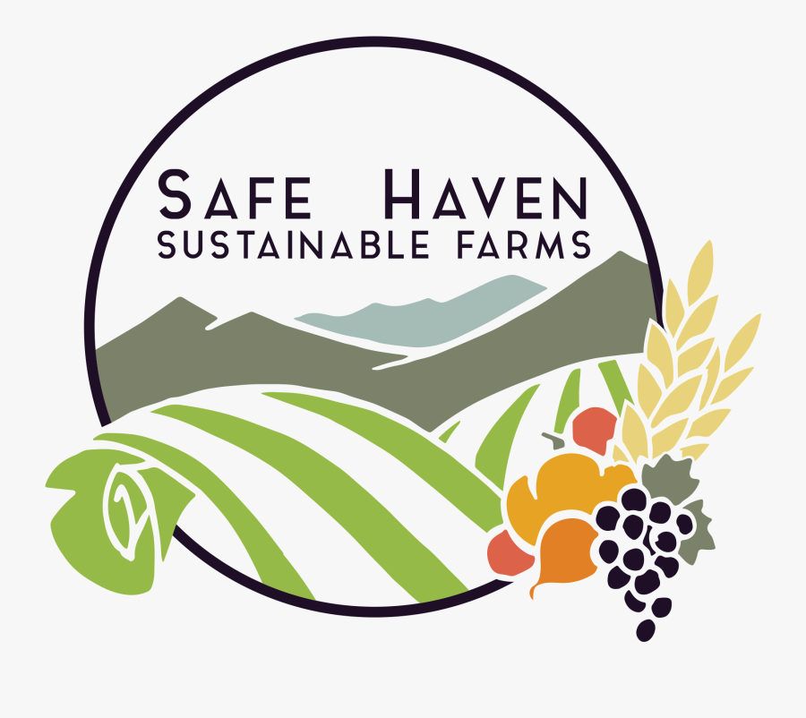 Logo - Escudo De Cerro Azul Cañete, Transparent Clipart