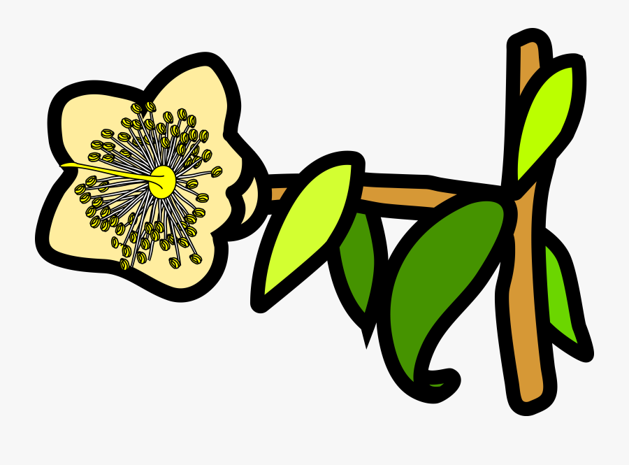 Clip Art, Transparent Clipart