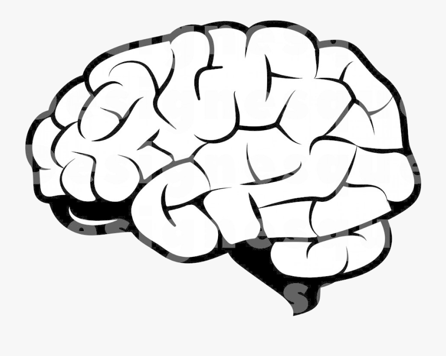 Brain January Cool Cliparts Stock Vector And Transparent - Clip Art Of Brain, Transparent Clipart