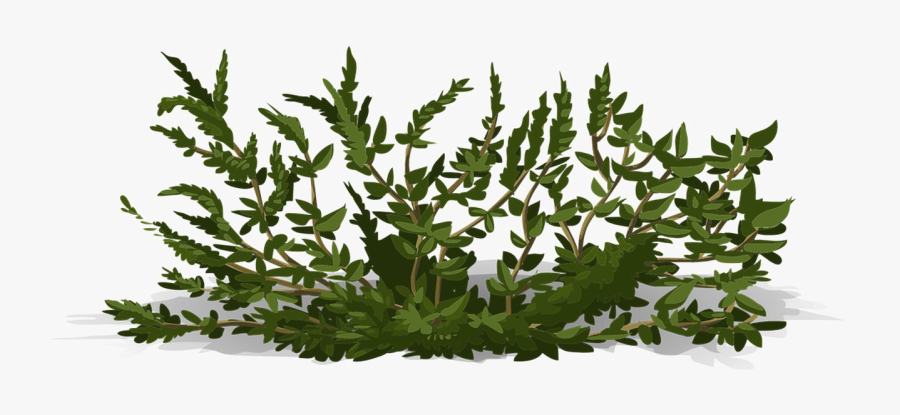 Transparent Greenery Png - Butterfly On A Flower Illustration, Transparent Clipart