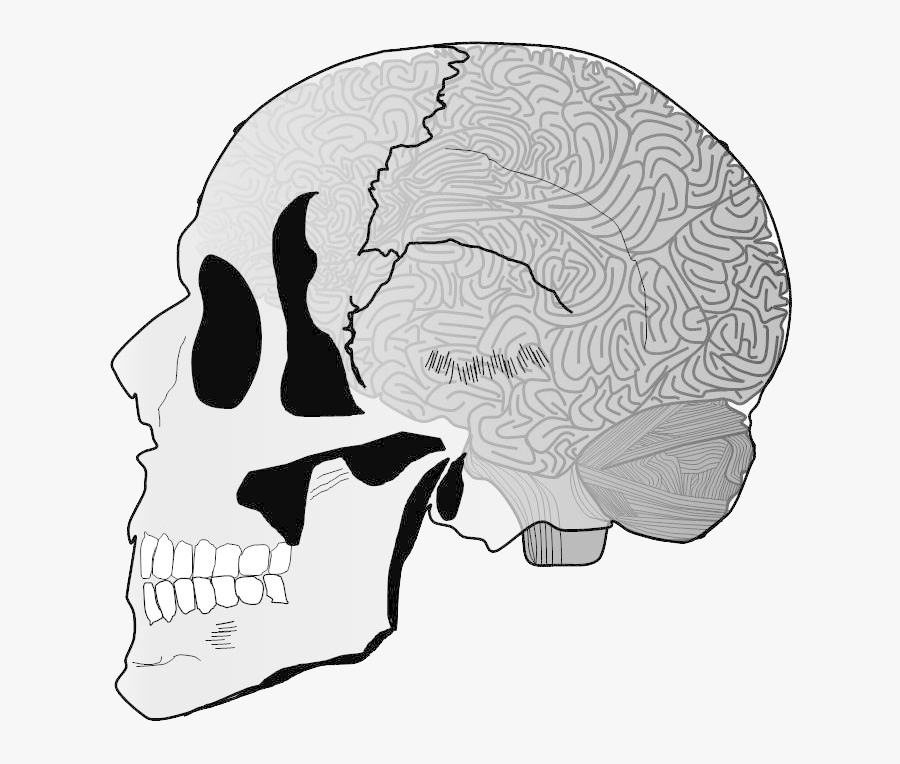 Illustration, Transparent Clipart