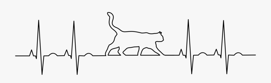 Cat On Ecg, Transparent Clipart