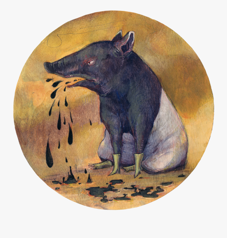 Boar, Transparent Clipart