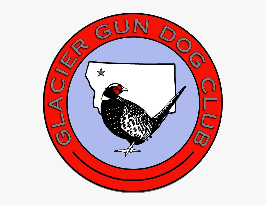 Turkey, Transparent Clipart