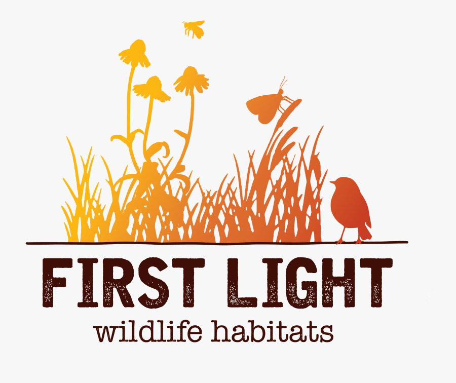 Firstlight - Blush Beauty Bar Regina, Transparent Clipart