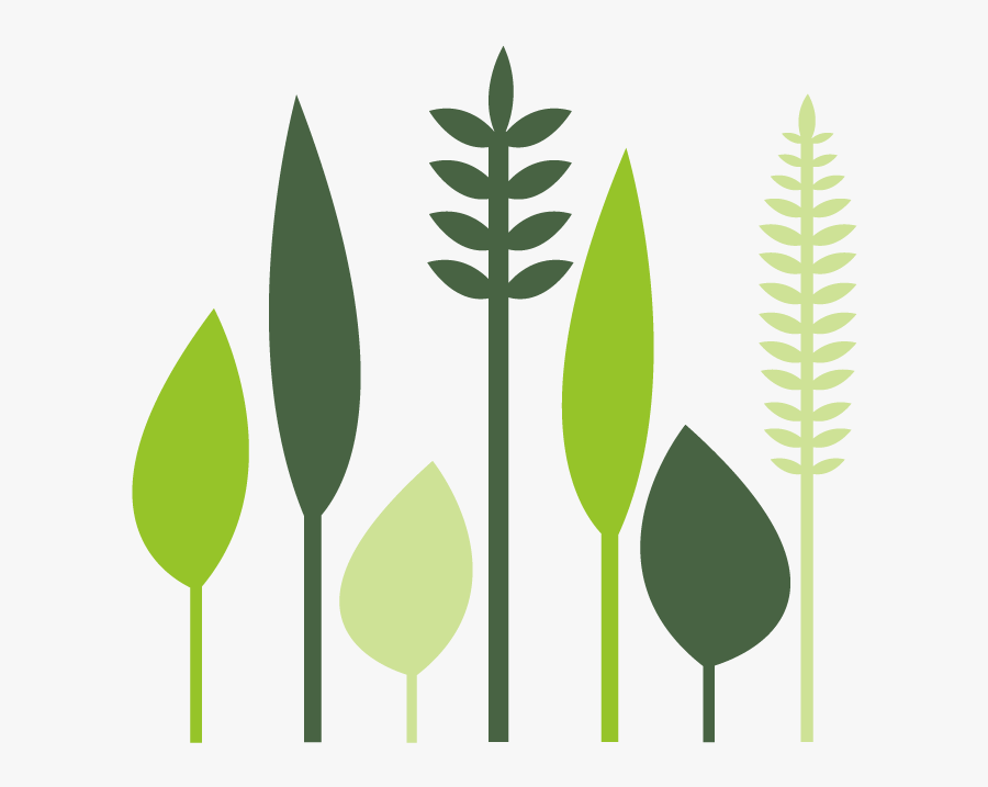 Happy Habitats Icons Woodland - Illustration, Transparent Clipart