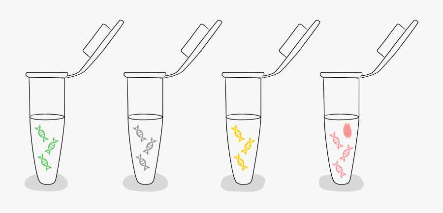 Beer Clip 8 Pint, Transparent Clipart