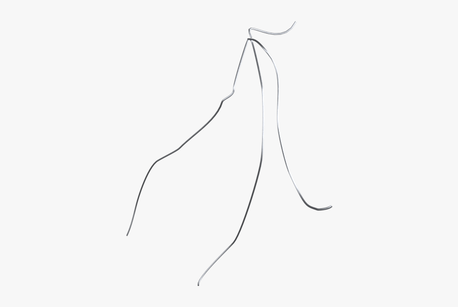Sketch, Transparent Clipart