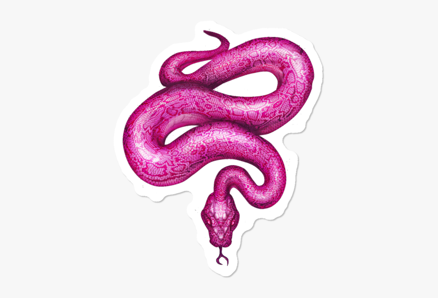 Serpent, Transparent Clipart