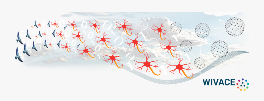 Sample Image, Transparent Clipart