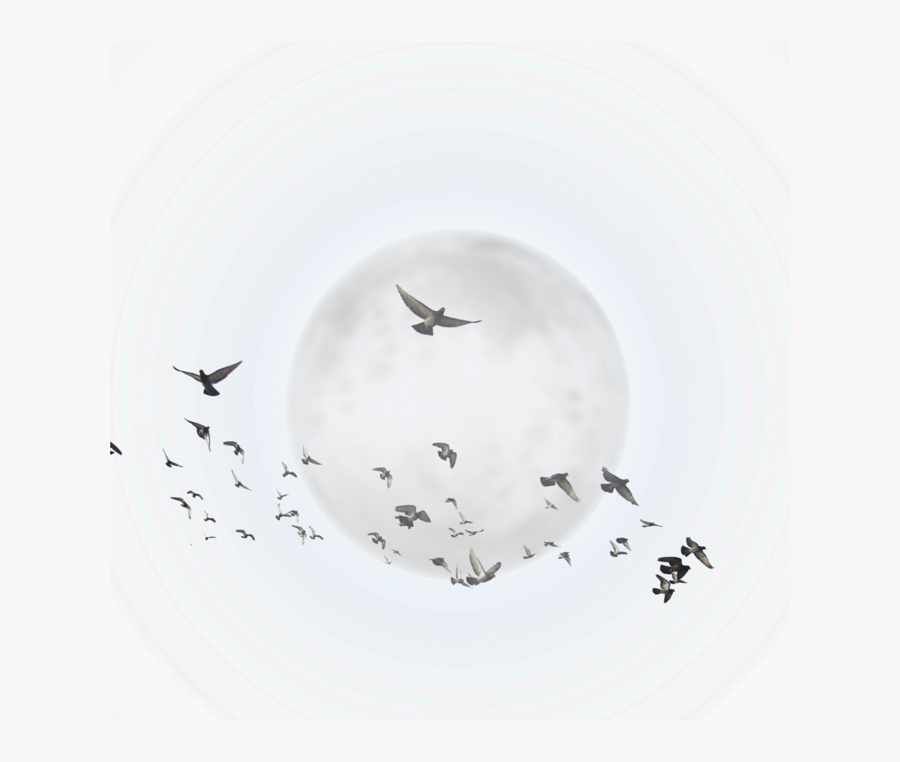 Transparent Sun And Clouds Clipart - Cloud, Transparent Clipart