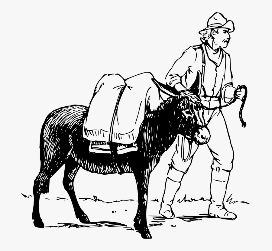 Donkey,chariot,pony - Black Man On A Mule, Transparent Clipart