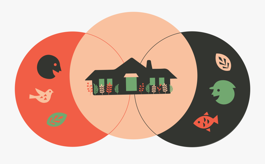 Circle, Transparent Clipart