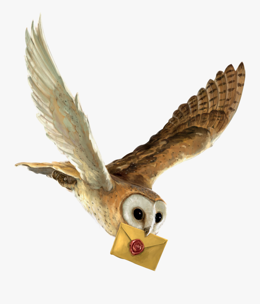 Harry Potter And The Philosopher"s Stone Owl Hedwig - Harry Potter Owl Flying, Transparent Clipart