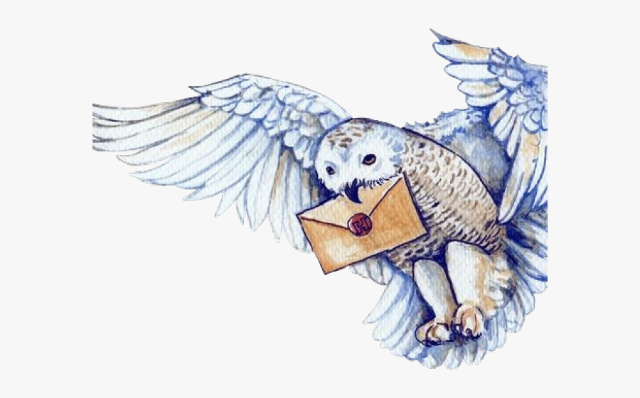 Harry Potter Clipart Hedwig - Cartoon Hedwig, Transparent Clipart