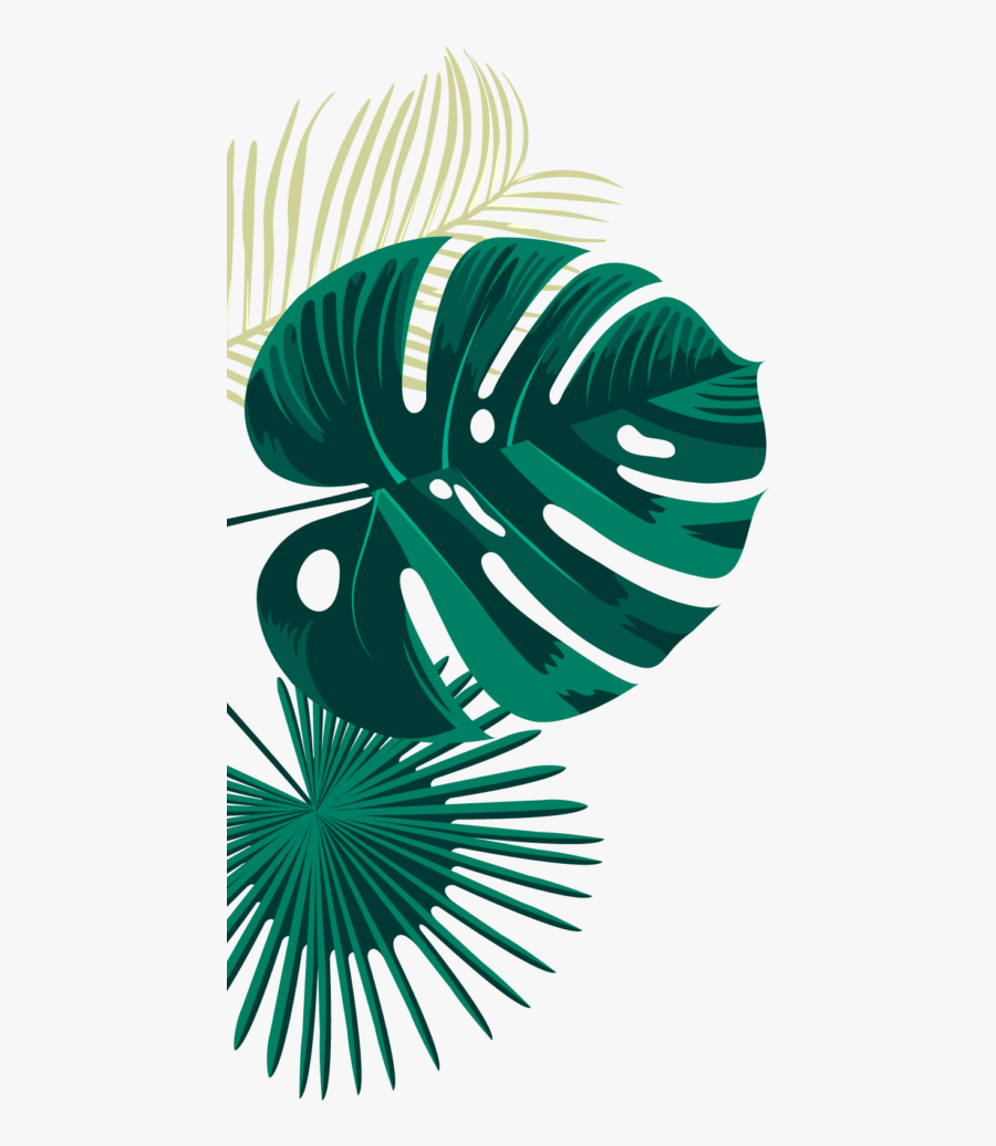 Illustration, Transparent Clipart