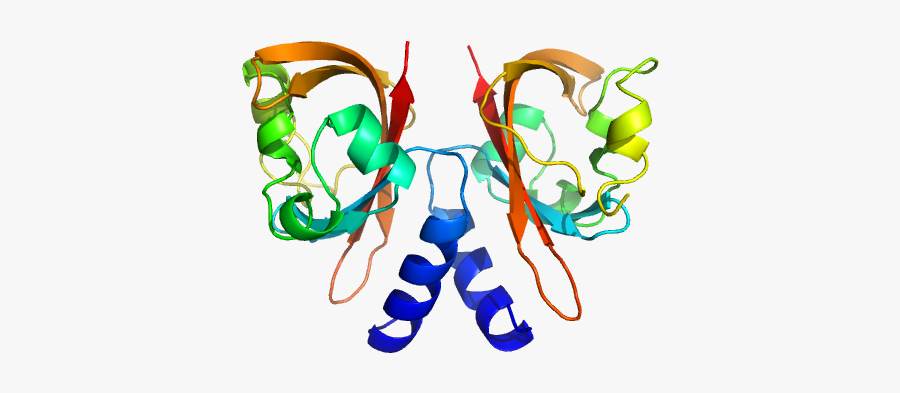 Diguanylate Cyclase With Pas Sensory Domain Pdb Model"
				title="load, Transparent Clipart