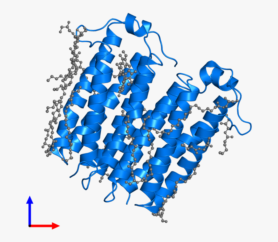 Graphic Design, Transparent Clipart