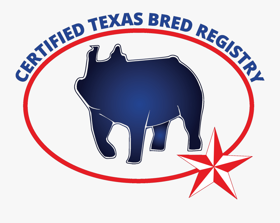 Adviento, Transparent Clipart