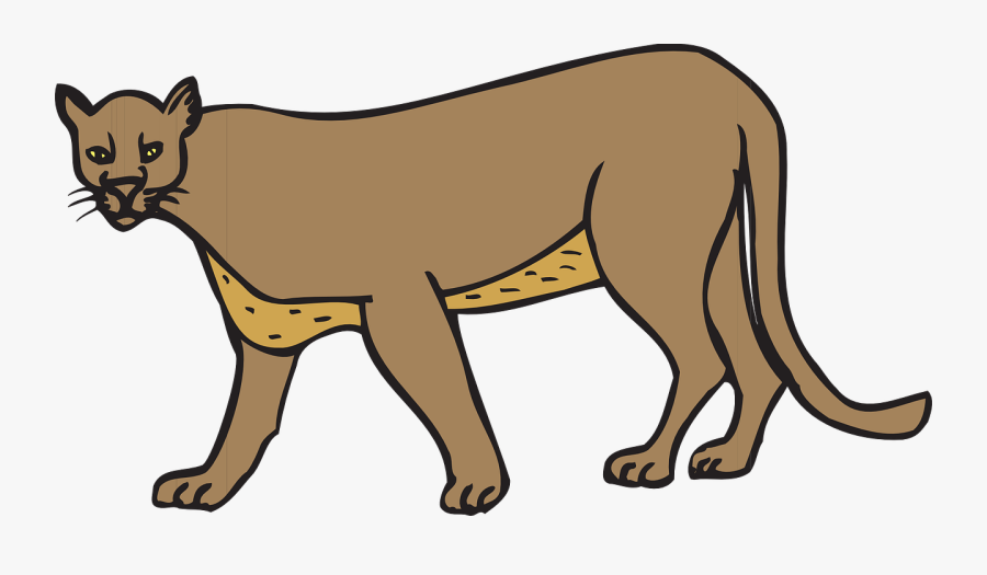 Clipart Of A Cougar, Transparent Clipart