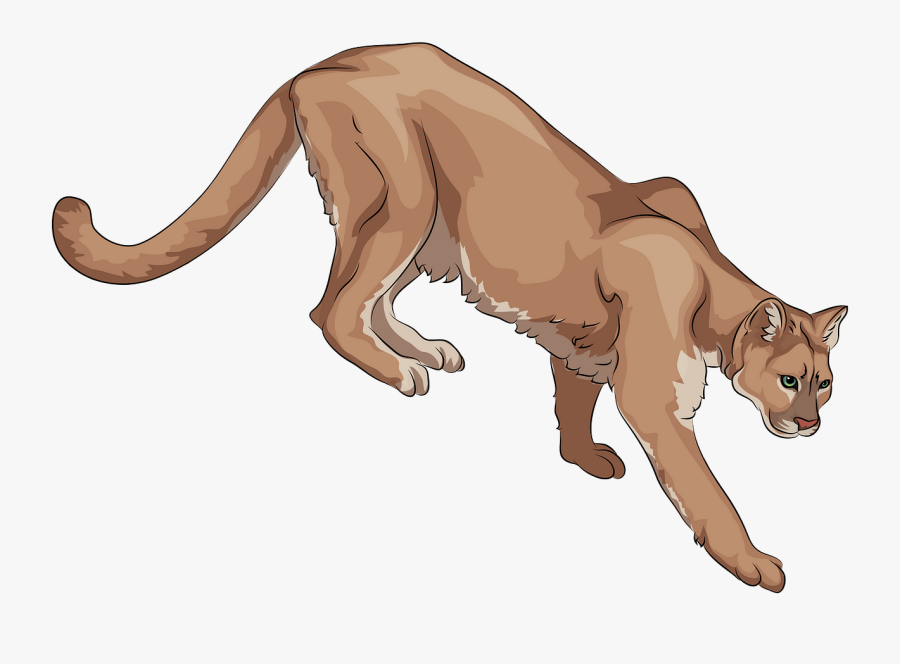 Dog Catches Something, Transparent Clipart