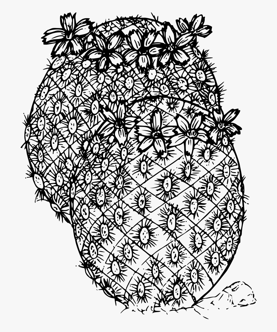 Macdougal"s Pincushion - Circle, Transparent Clipart