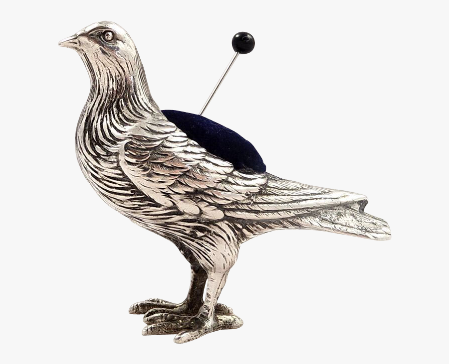 Pigeons And Doves, Transparent Clipart