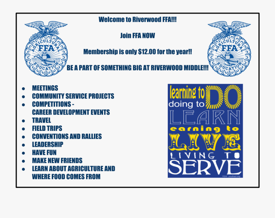 Circle, Transparent Clipart