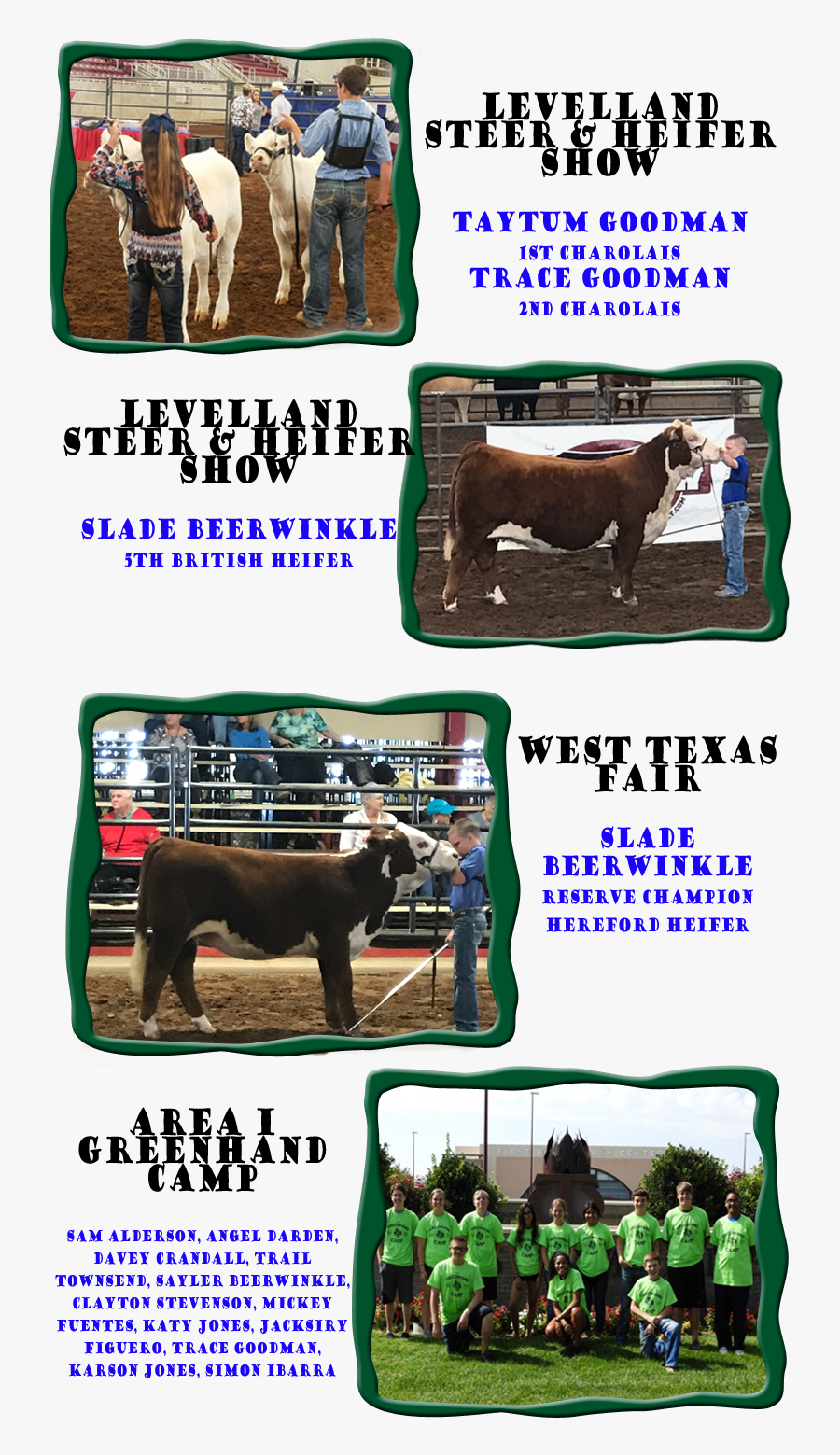 Mare, Transparent Clipart